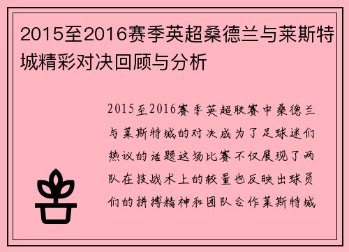 2015至2016赛季英超桑德兰与莱斯特城精彩对决回顾与分析