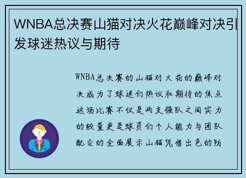 WNBA总决赛山猫对决火花巅峰对决引发球迷热议与期待