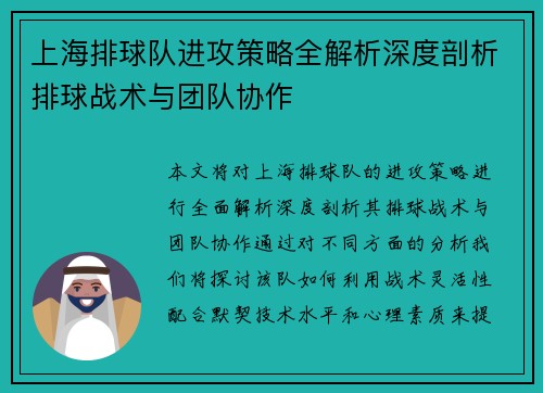 上海排球队进攻策略全解析深度剖析排球战术与团队协作