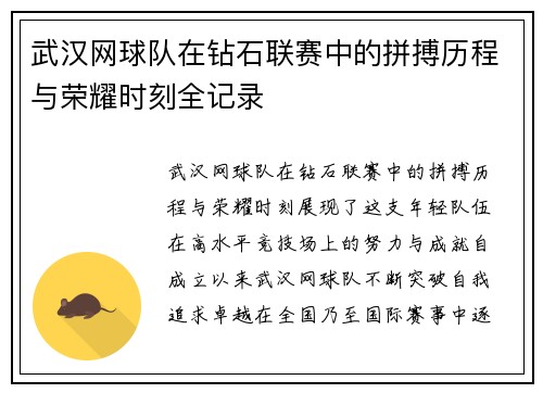 武汉网球队在钻石联赛中的拼搏历程与荣耀时刻全记录